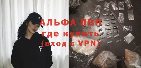 молекула духа Новозыбков