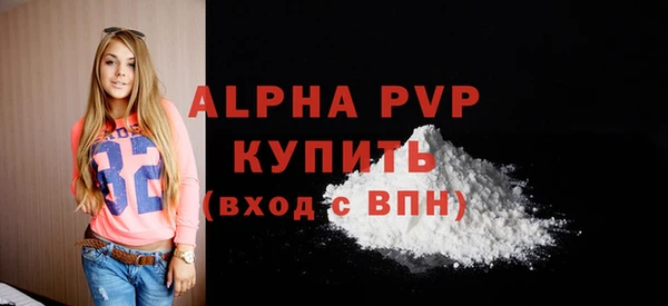 молекула духа Новозыбков