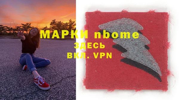 молекула духа Новозыбков