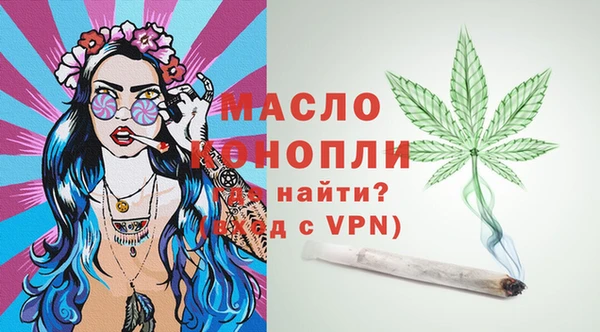 молекула духа Новозыбков