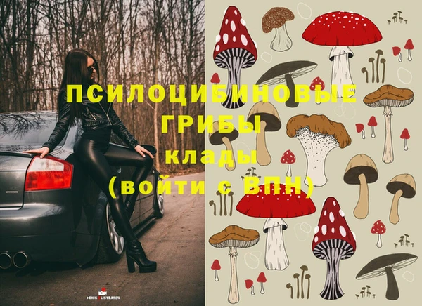 СК Новокубанск