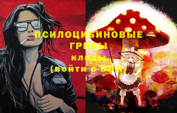 дурь Валдай