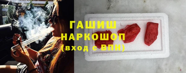 молекула духа Новозыбков
