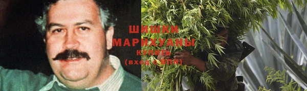 прущие крисы Болотное