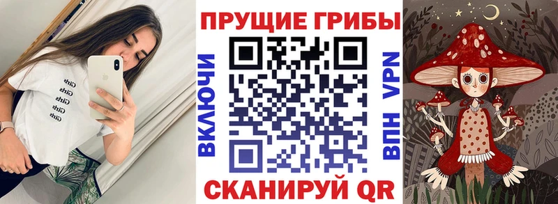 Псилоцибиновые грибы мицелий  Ужур 